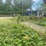  Land for sale in Puerto Princesa City, Mimaropa, Puerto Princesa City, Palawan, Mimaropa