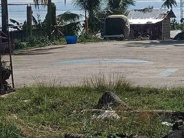  Land for sale in Argao, Cebu, Argao