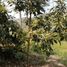 3 Bedroom Villa for sale in San Vicente De Chucuri, Santander, San Vicente De Chucuri