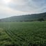  Land for sale in Villa Corona, Jalisco, Villa Corona