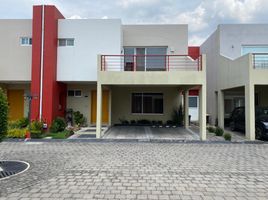 3 Schlafzimmer Haus zu vermieten in Toluca, Mexico, Toluca
