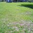  Terreno (Parcela) en venta en Tumbaco, Pichincha, Tumbaco, Quito