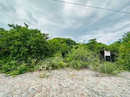  Terreno (Parcela) en venta en Salamanca, Guanajuato, Salamanca