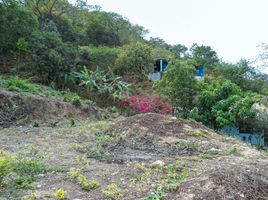  Grundstück zu verkaufen in Puerto Vallarta, Jalisco, Puerto Vallarta