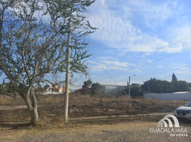  Land for sale in Ixtlahuacan De Los Membrillos, Jalisco, Ixtlahuacan De Los Membrillos