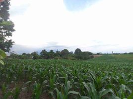  Land for sale in Montenegro, Quindio, Montenegro