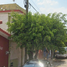 3 Schlafzimmer Haus zu verkaufen in Tuxtla Gutierrez, Chiapas, Tuxtla Gutierrez, Chiapas