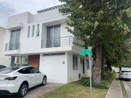 在Jalisco出租的4 卧室 住宅, Zapopan, Jalisco