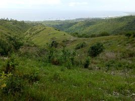  Land for sale in San Fernando, Cebu, San Fernando