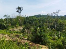  Tanah for sale in Batang Kali, Ulu Selangor, Batang Kali
