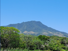  Terreno (Parcela) en venta en Panamá, Guabito, Changuinola, Bocas del Toro, Panamá