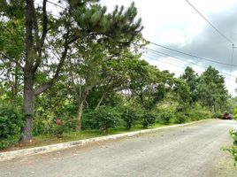  Land for sale in Silang, Cavite, Silang