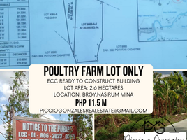  Land for sale in Iloilo, Western Visayas, Mina, Iloilo