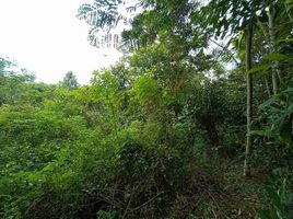  Land for sale in Bojong, Purwakarta, Bojong