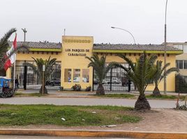 3 Schlafzimmer Appartement zu verkaufen in Puente Piedra, Lima, Puente Piedra