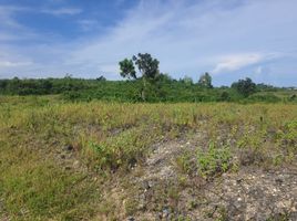  Terreno (Parcela) en venta en Consolacion, Central Visayas, Consolacion, Cebu