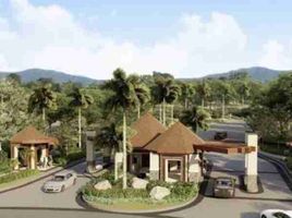  Land for sale in Rizal, Nueva Ecija, Rizal