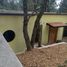 3 Habitación Casa en venta en Pachuca De Soto, Hidalgo, Pachuca De Soto