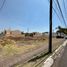  Terreno (Parcela) en venta en Salamanca, Guanajuato, Salamanca