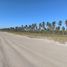  Land for sale in Escuinapa, Sinaloa, Escuinapa