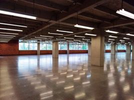 2,177 m² Office for rent in Parque de los Pies Descalzos, Medellín, Medellín