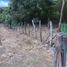 Terrain à vendre à Guayaquil, Guayas, Guayaquil, Guayaquil
