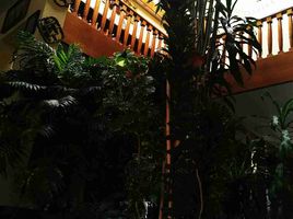 Maison 3 chambre à vendre à Cuajimalpa De Morelos, Mexico City, Cuajimalpa De Morelos