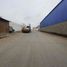  Land for rent in Lurin, Lima, Lurin, Lima, Lima