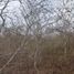  Land for sale in Mococha, Yucatan, Mococha