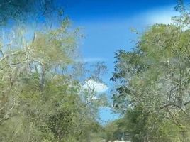  Land for sale in Mococha, Yucatan, Mococha