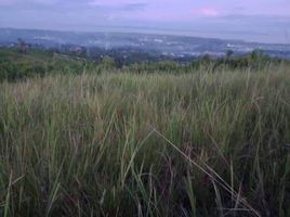  Land for sale in Carcar City, Cebu, Carcar City