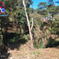  Land for sale in Cordillera, Baguio City, Benguet, Cordillera