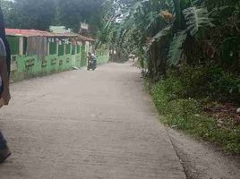  Land for sale in San Juan, Batangas, San Juan