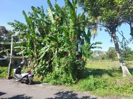  Land for sale in Yogyakarta, Mlati, Sleman, Yogyakarta