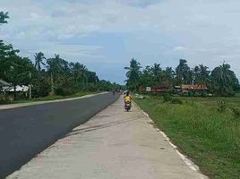  Land for sale in Narra, Palawan, Narra