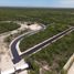 Terrain à vendre à Chicxulub Pueblo, Yucatan, Chicxulub Pueblo