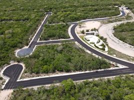 Terrain à vendre à Chicxulub Pueblo, Yucatan, Chicxulub Pueblo