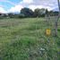  Land for sale in Imbabura, San Jose De Chaltura, Antonio Ante, Imbabura