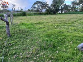  Terreno (Parcela) en venta en Antonio Ante, Imbabura, San Jose De Chaltura, Antonio Ante