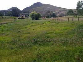  Terreno (Parcela) en venta en Guatavita, Cundinamarca, Guatavita