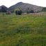  Land for sale in Guatavita Cundinamarca, Guatavita