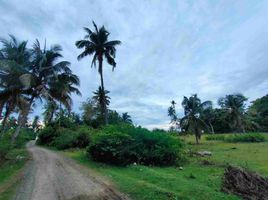  Land for sale in Northern Mindanao, Gitagum, Misamis Oriental, Northern Mindanao