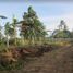  Land for sale in Alfonso, Calabarzon, Alfonso, Cavite