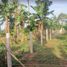  Land for sale in Alfonso, Calabarzon, Alfonso, Cavite