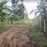  Land for sale in Alfonso, Calabarzon, Alfonso, Cavite
