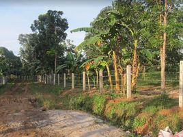  Land for sale in Alfonso, Calabarzon, Alfonso, Cavite