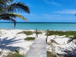  Grundstück zu verkaufen in Dzemul, Yucatan, Dzemul