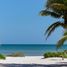  Land for sale in Dzemul, Yucatan, Dzemul