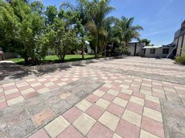 620 SqM Office for rent in Puebla, Puebla, Puebla