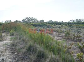  Terreno (Parcela) en venta en Asia, Lima, Asia